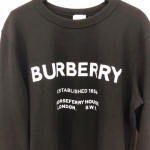 Толстовка мужская  Burberry Артикул LUX-34792. Вид 2