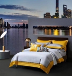 Комплект постельного белья Hermes Артикул LUX-85382. Вид 1