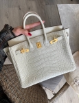 Сумка женская Birkin, 25 Crocodile Niloticus Mat Hermes Артикул LUX-117013. Вид 1