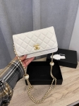 Сумка женская Chanel Артикул LUX-107214. Вид 1
