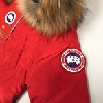Парка детская пуховая Moncler Артикул LUX-21152. Вид 2
