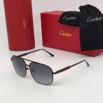 Очки Cartier Артикул LUX-19800. Вид 1