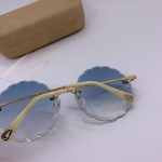 Очки Chloe Артикул LUX-11345. Вид 2