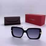 Очки Salvatore Ferragamo Артикул LUX-11942. Вид 1