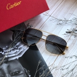 Очки Cartier Артикул LUX-19803. Вид 2