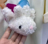 Футболка  13DE MARZO   Артикул LUX-91236. Вид 2