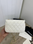 Сумка женская Chanel Артикул LUX-93223. Вид 2