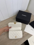 Сумка женская Chanel Артикул LUX-93223. Вид 5