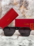 Очки мужские Cartier Артикул LUX-93624. Вид 1