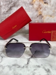Очки мужские Cartier Артикул LUX-93620. Вид 1