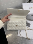Сумка женская 24 см  Christian Dior Артикул LUX-99284. Вид 4