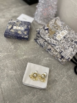 Серьги Christian Dior Артикул LUX-99308. Вид 2