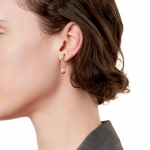 Серьги  Tiffany&Co Артикул LUX-101745. Вид 1