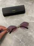 Очки  Cartier Артикул LUX-106058. Вид 1