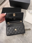 Сумка женская Chanel Артикул LUX-106796. Вид 7