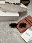 Очки Celine Артикул LUX-107047. Вид 2