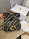  Сумка женская Christian Dior Артикул LUX-109357. Вид 5