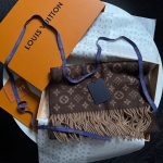 Шарф Louis Vuitton Артикул LUX-112646. Вид 1