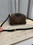  Сумка женская  Louis Vuitton Артикул LUX-114804. Вид 1