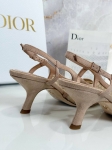 Туфли  Christian Dior Артикул LUX-117011. Вид 3