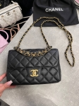Сумка женская  Chanel Артикул LUX-117160. Вид 1