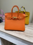 Сумка женская Birkin 25, Togo, GHW Hermes Артикул LUX-119441. Вид 1