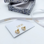 Серьги Christian Dior Артикул LUX-120090. Вид 1