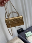 Сумка женская  Chanel Артикул LUX-120096. Вид 1