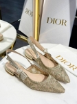 Туфли Christian Dior Артикул LUX-120523. Вид 1