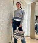 Свитер Christian Dior Артикул LUX-123570. Вид 1