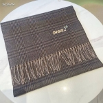 Шарф Christian Dior Артикул LUX-127666. Вид 3