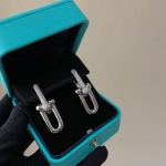 Серьги Tiffany&Co Артикул LUX-134441. Вид 1