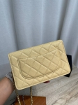 Сумка женская Chanel Артикул LUX-138547. Вид 5