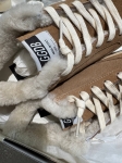 Кеды Golden Goose  Артикул LUX-138673. Вид 4