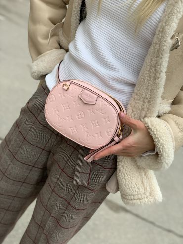 Поясная сумка Louis Vuitton LUX-22105