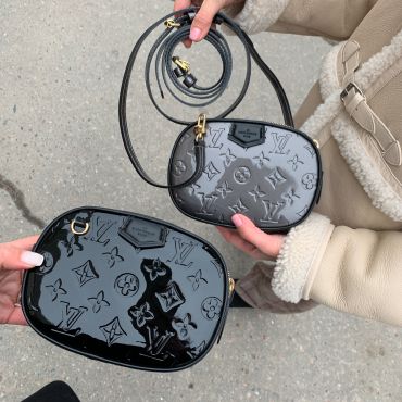 Поясная сумка Louis Vuitton LUX-22107