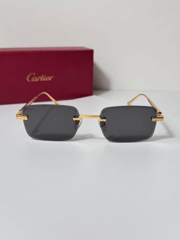 Очки Cartier LUX-119651