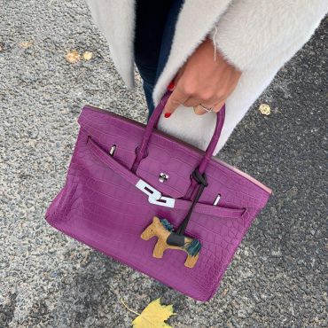  Сумка женская BIRKIN Croc  Hermes LUX-20863