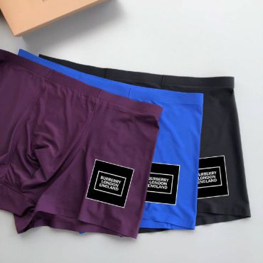 Комплект Burberry LUX-50637