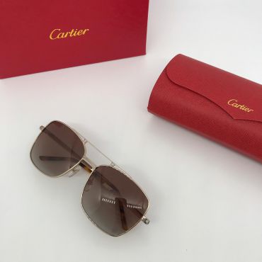 Очки Cartier LUX-13838