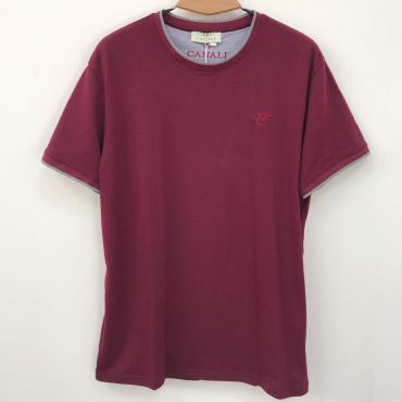 Футболка мужская Canali LUX-14259