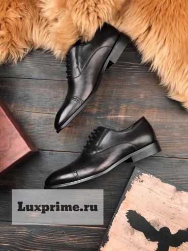 Туфли мужские Stefano Ricci ОМ-085