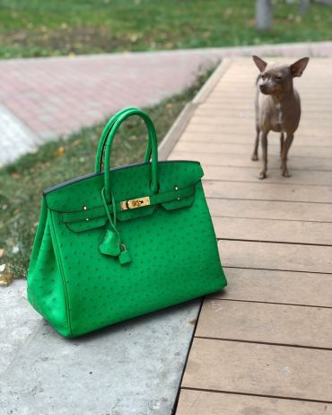  Сумка женская BIRKIN Hermes СЖ-222