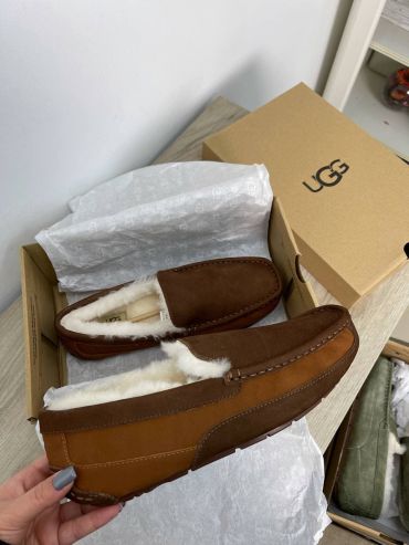 Мокасины UGG Mens Ascot Ugg Australia LUX-58004