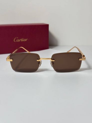 Очки Cartier LUX-119650
