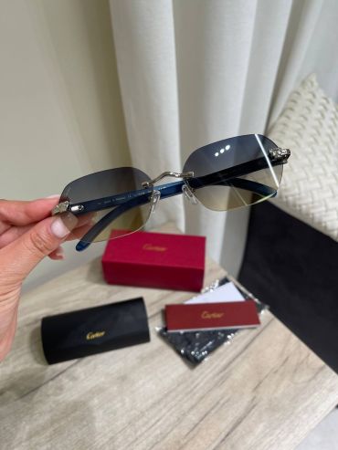 Очки Cartier LUX-119648