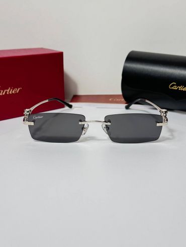 Очки Cartier LUX-121221