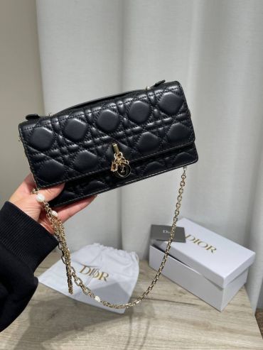 Сумка женская Christian Dior LUX-127701